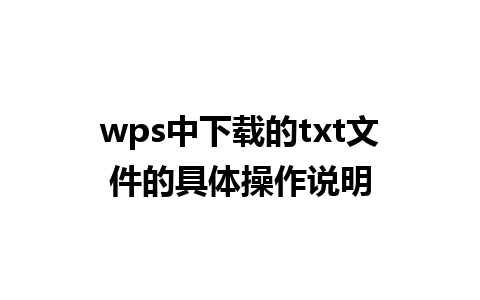 wps 中下载的 txt 文件的具体操作说明