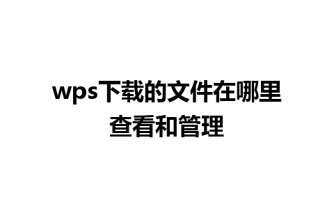 wps 下载的文件在哪里查看和管理