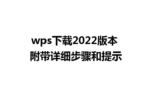 wps 下载 2022 版本 附带详细步骤和提示