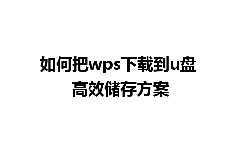 如何把 wps 下载到 u 盘 高效储存方案