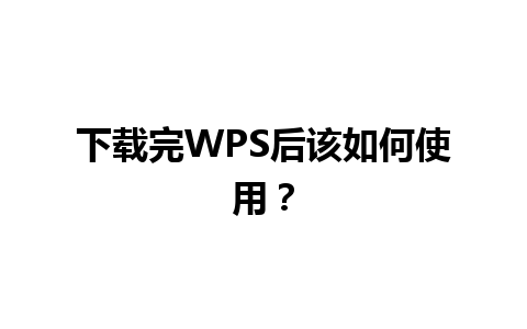 下载完 WPS 后该如何使用？