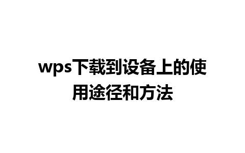 wps 下载到设备上的使用途径和方法