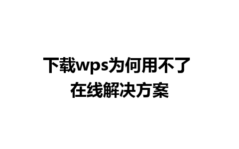 下载 wps 为何用不了 在线解决方案