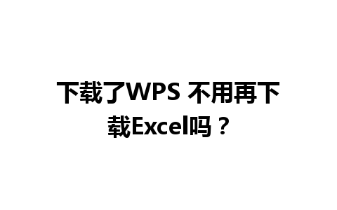 下载了 WPS 不用再下载 Excel 吗？