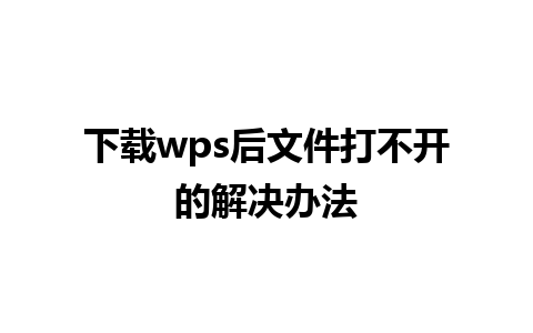 下载 wps 后文件打不开的解决办法