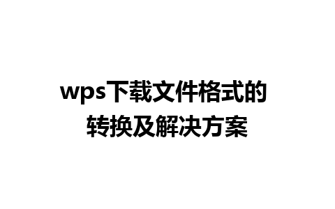 wps 下载文件格式的 转换及解决方案