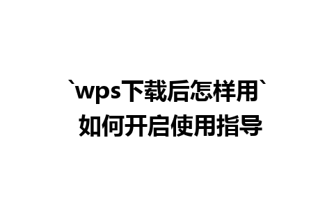 `wps 下载后怎样用 ` 如何开启使用指导