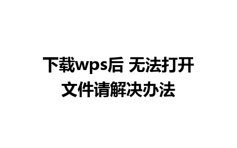 下载 wps 后 无法打开文件请解决办法