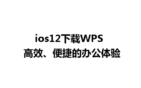 ios12 下载 WPS  高效、便捷的办公体验