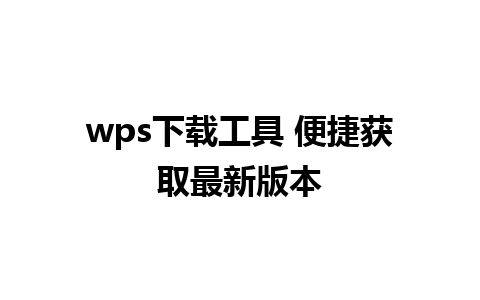 wps 下载工具 便捷获取最新版本