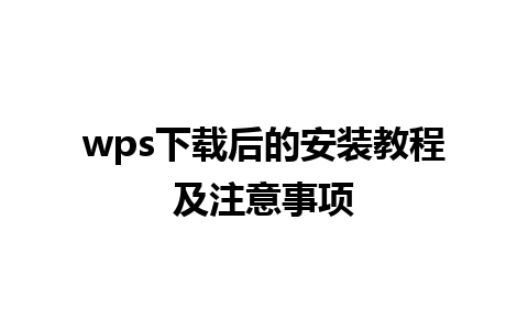 wps 下载后的安装教程及注意事项