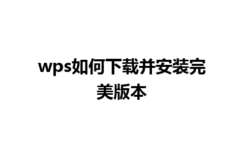 wps 如何下载并安装完美版本