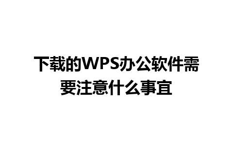 下载的 WPS 办公软件需要注意什么事宜