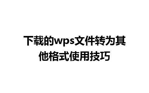 下载的 wps 文件转为其他格式使用技巧